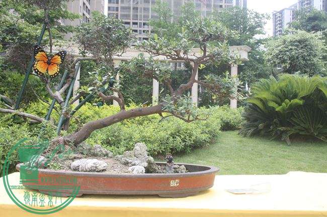 Ƭ 066.jpg