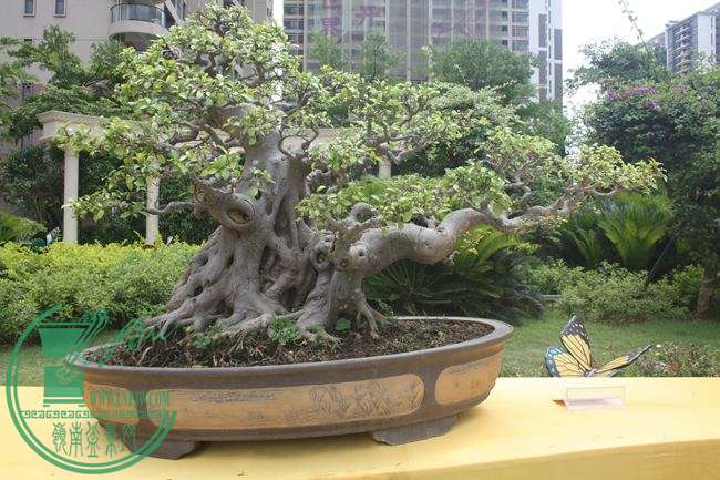 Ƭ 068.jpg