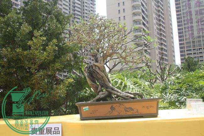 Ƭ 043.jpg