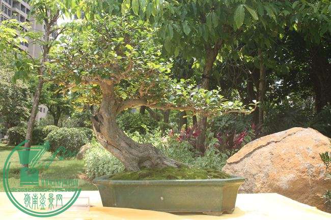 Ƭ 052.jpg