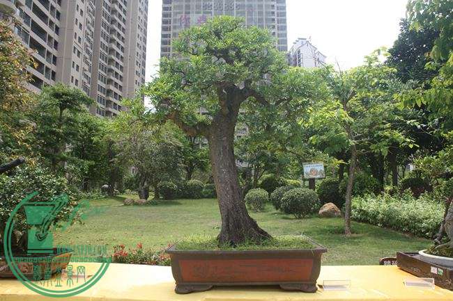 Ƭ 054.jpg