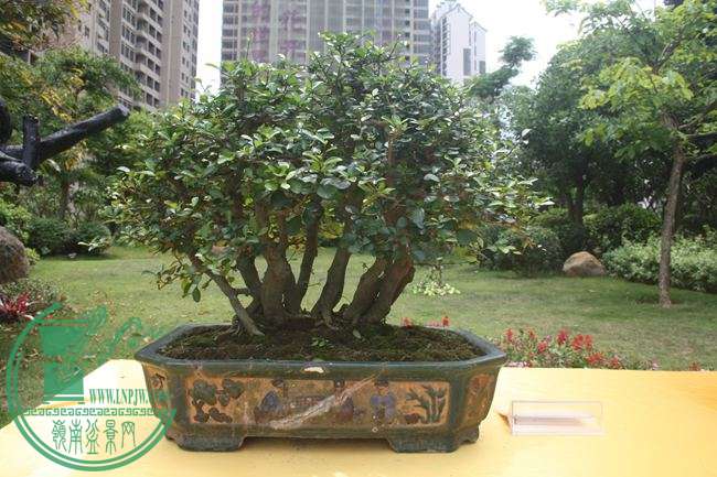 Ƭ 055.jpg