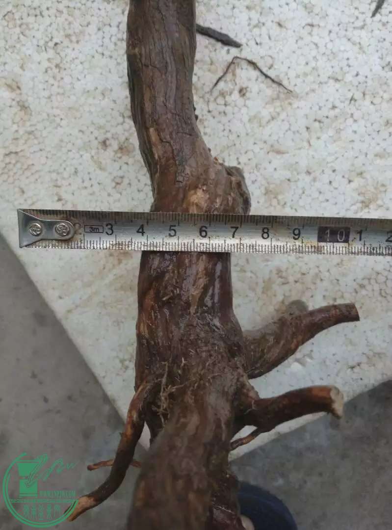 psbCD9AVH1H.jpg
