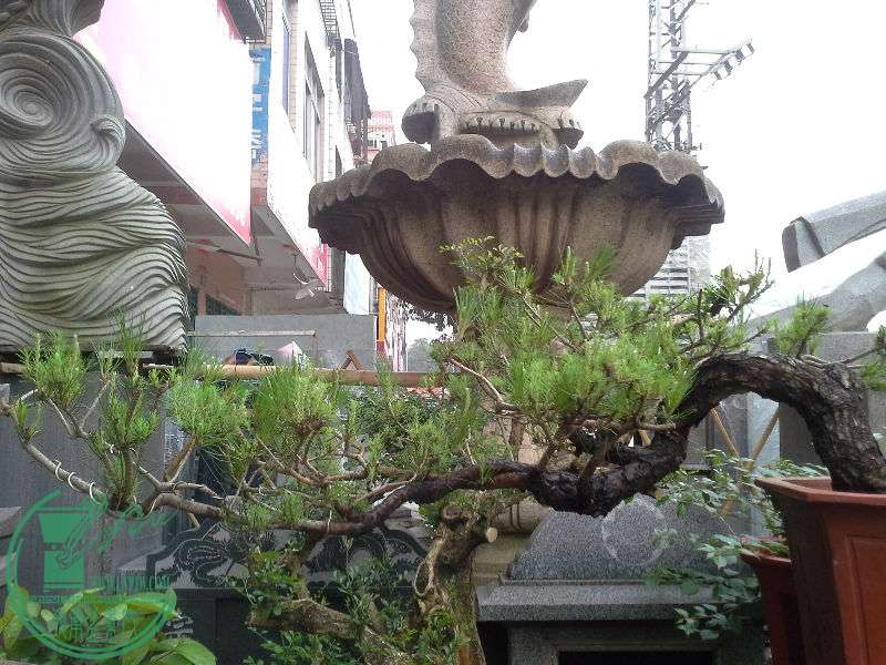 20160422_073314.jpg