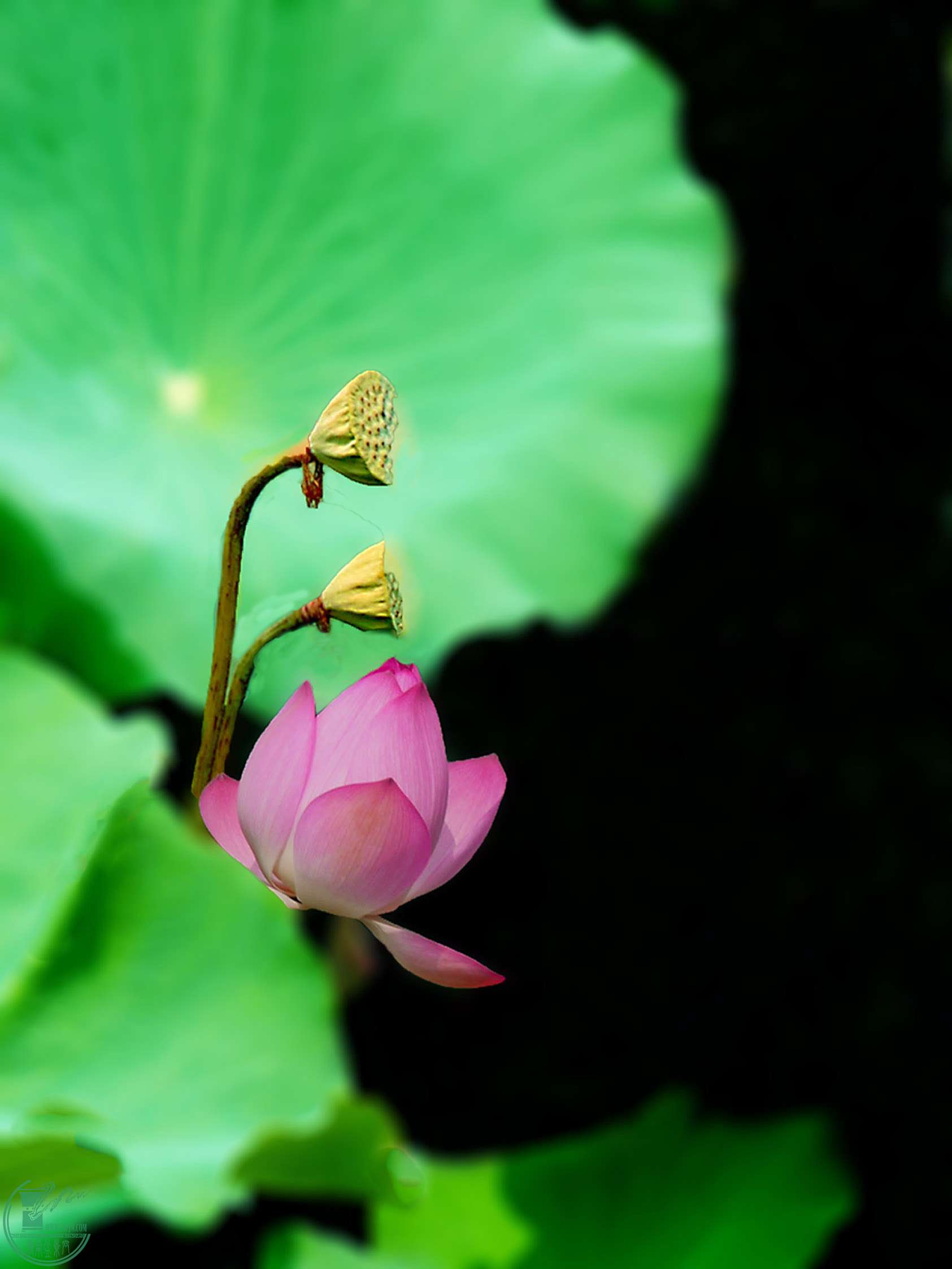 P1050220.jpg