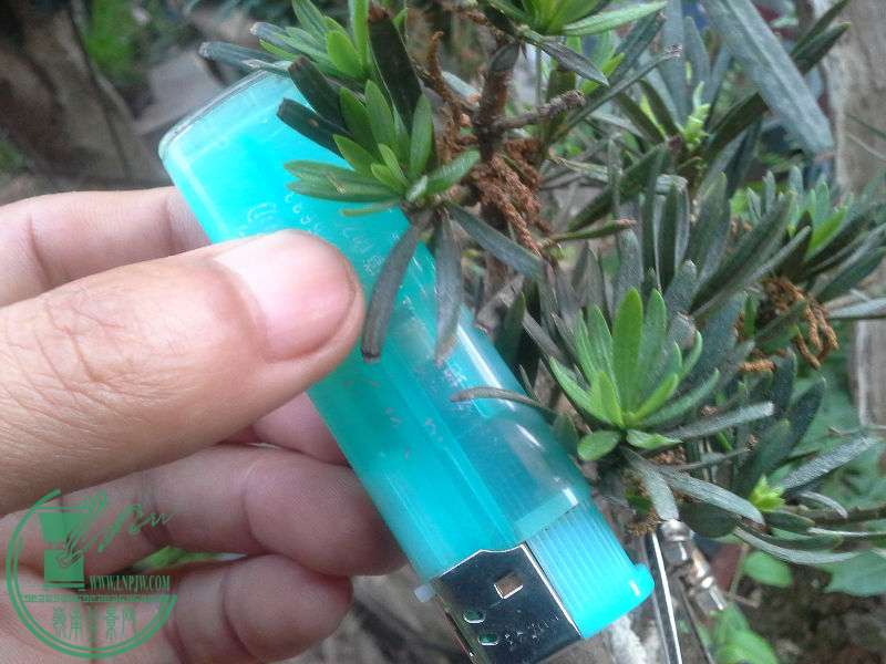 20160513_062438.jpg