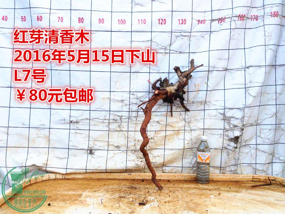 QQͼƬ20160515205312_.jpg