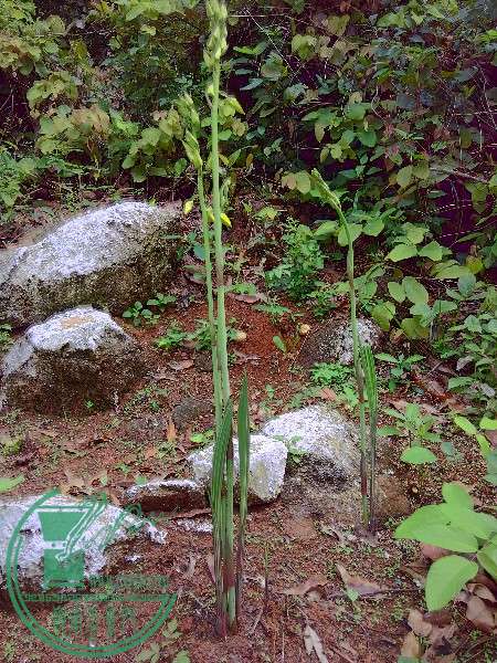 IMG_20160501_105434_HDR.jpg