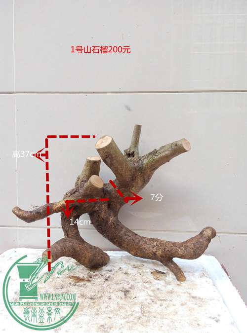 P60516-173538_.jpg