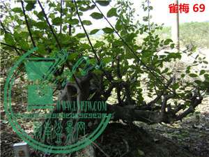 DSC04120_.jpg