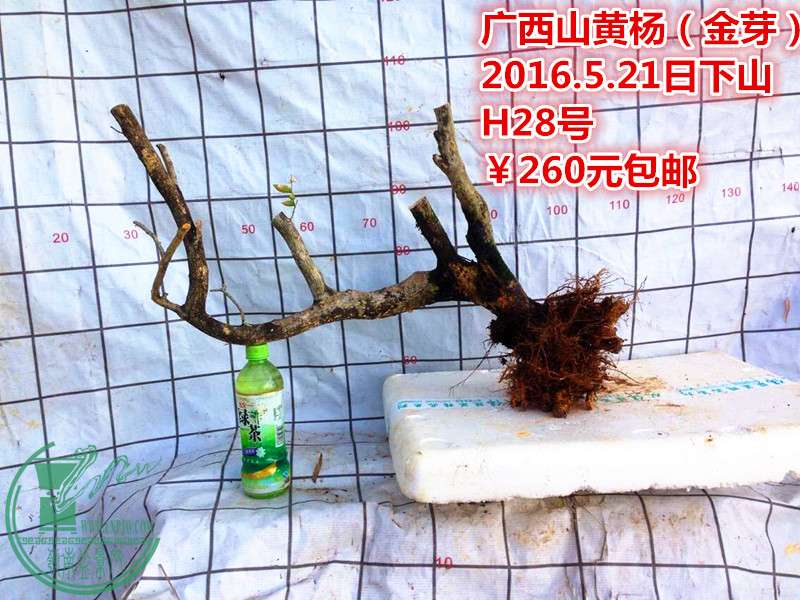QQͼƬ20160521211351_.jpg