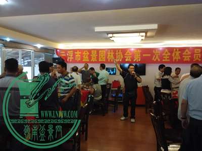 IMG_20160521_124219.jpg