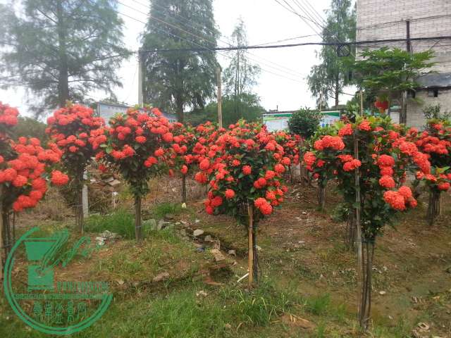 20160521_102946.jpg