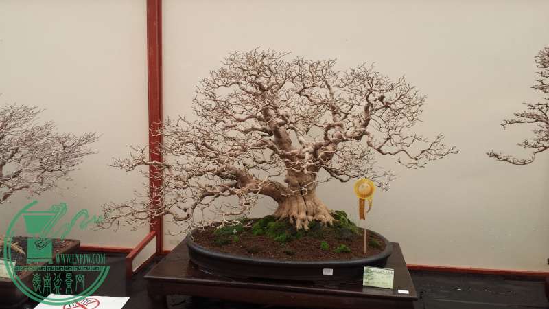 20150712.jpg