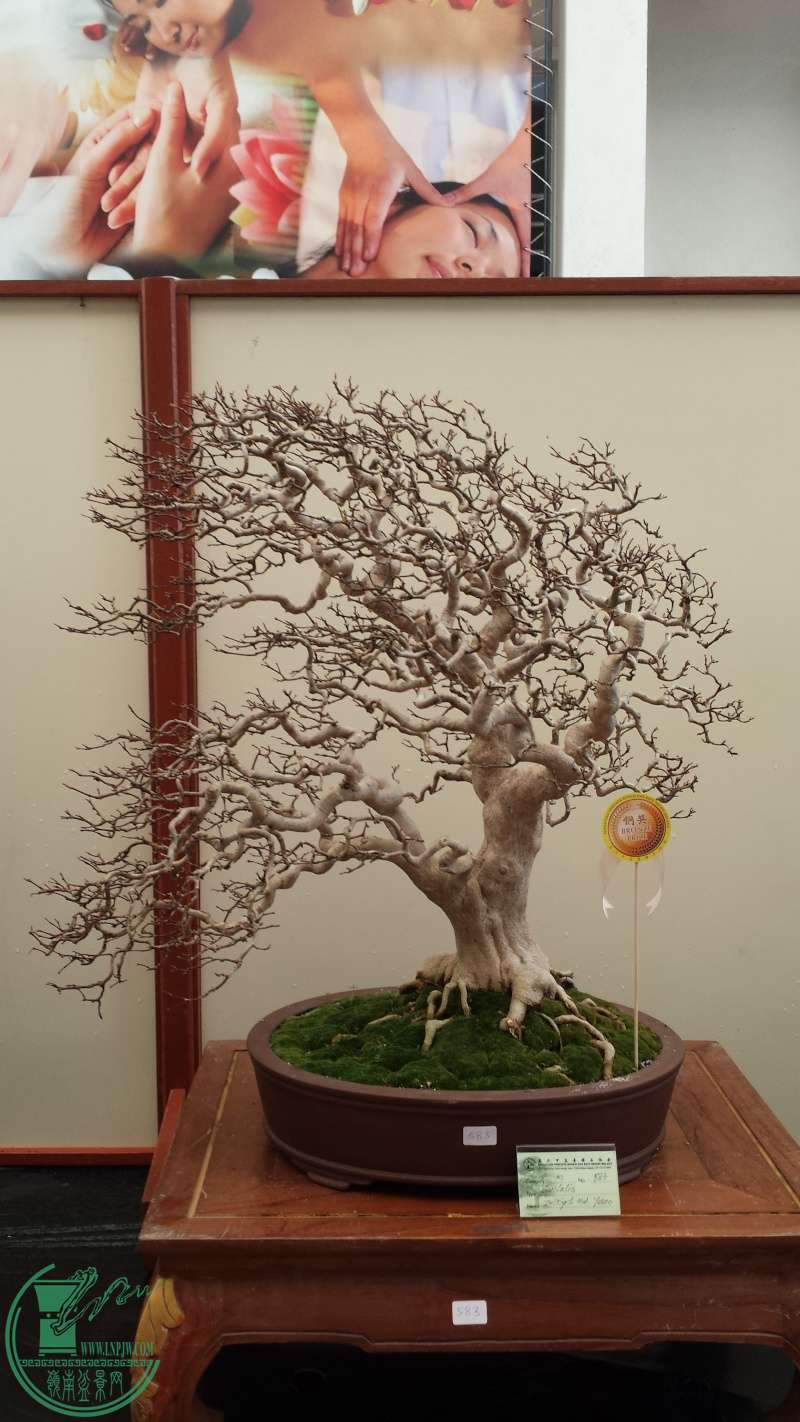 20150714.jpg