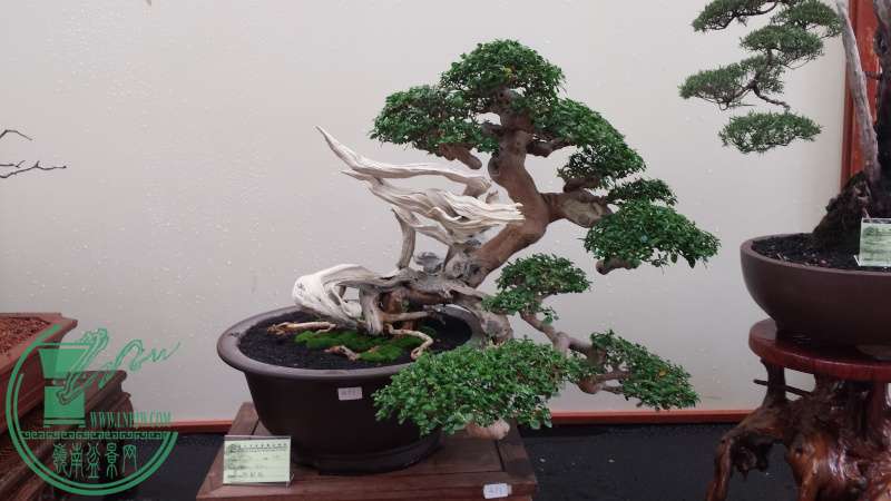 20150739.jpg
