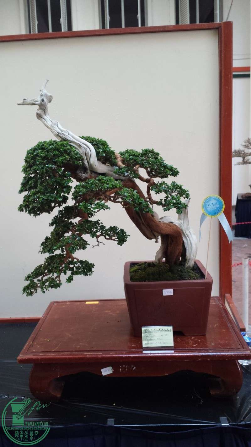 20150740 (1).jpg