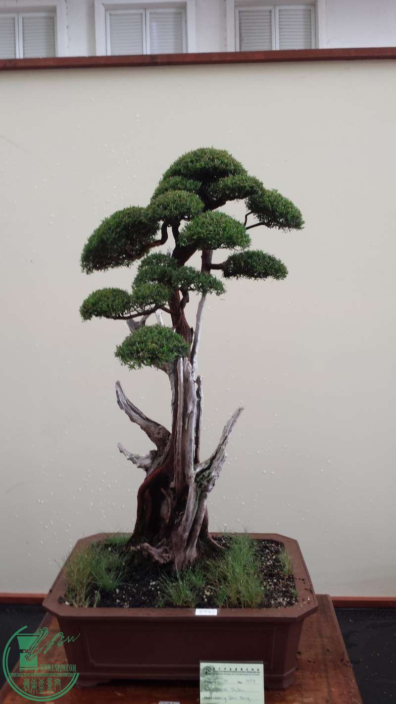 20150745.jpg