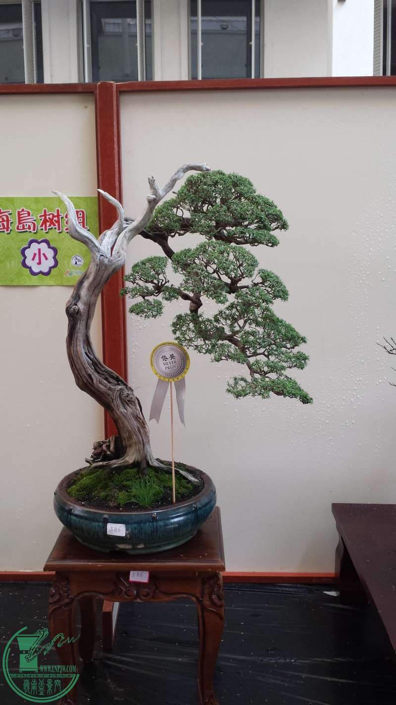 20150747.jpg