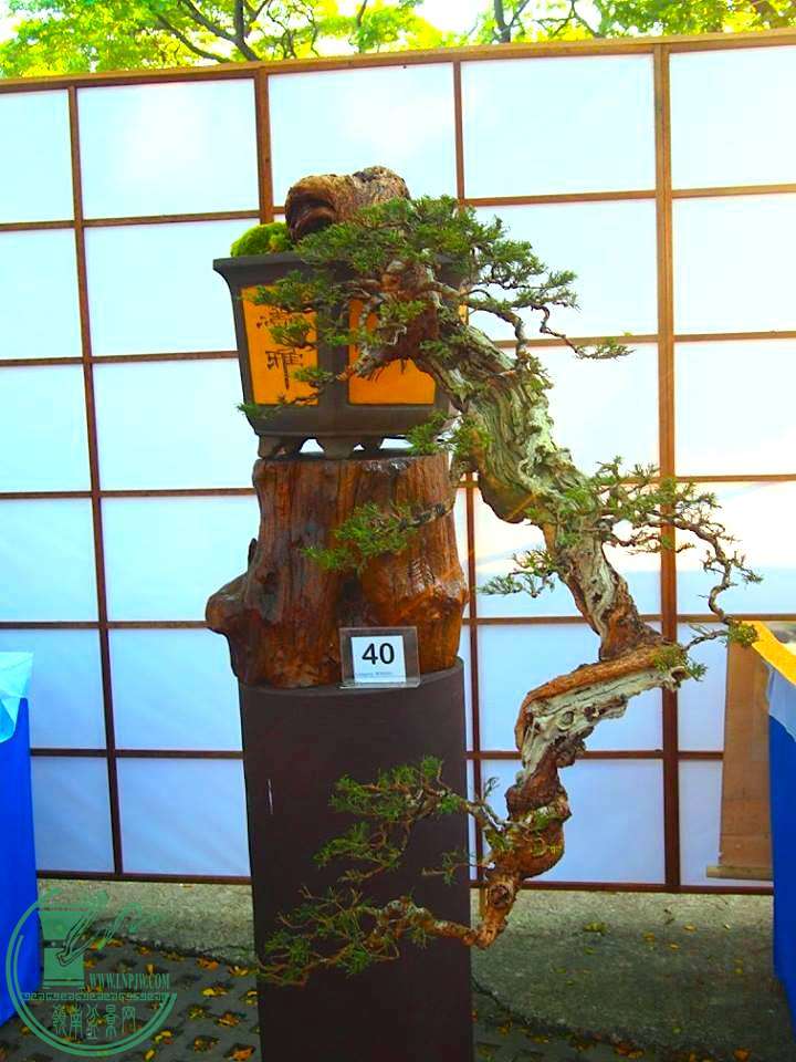 10394710.jpg