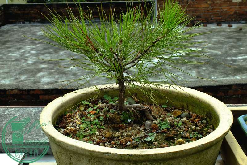 DSCF2877.JPG