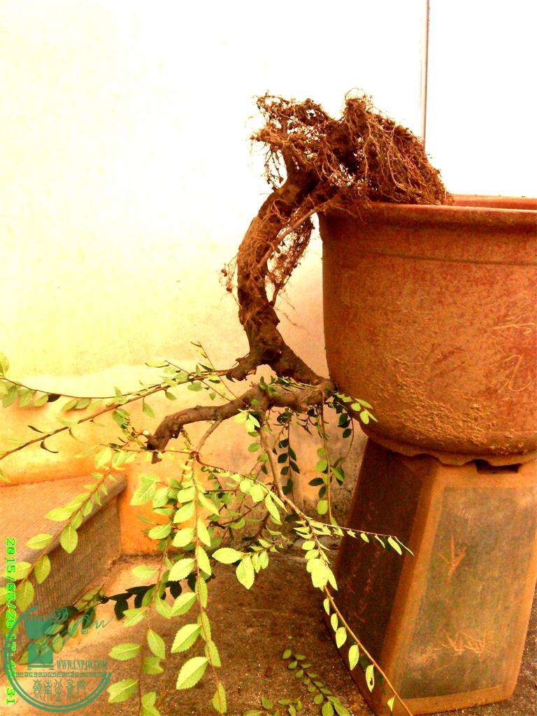 ׮92IMG_20150826_174332_ͼ.jpg