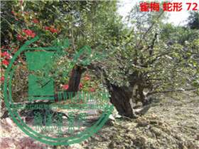 DSC04128_.jpg