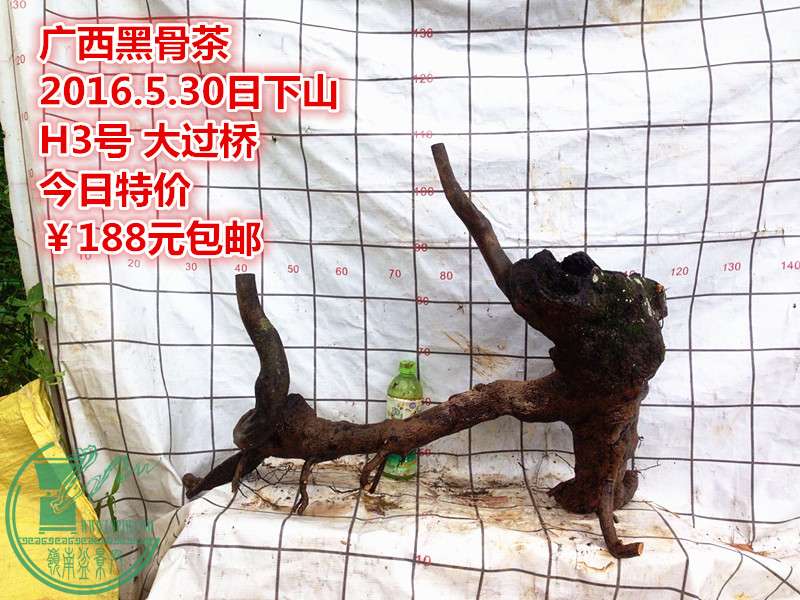 QQͼƬ20160530202310_.jpg