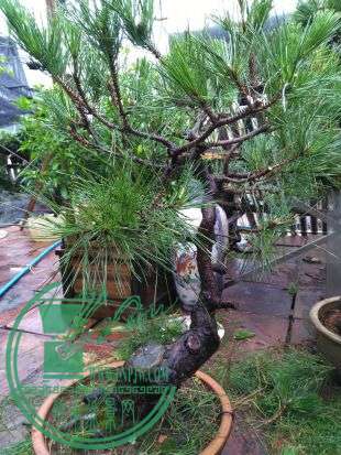 img_20160610_070129[1].jpg