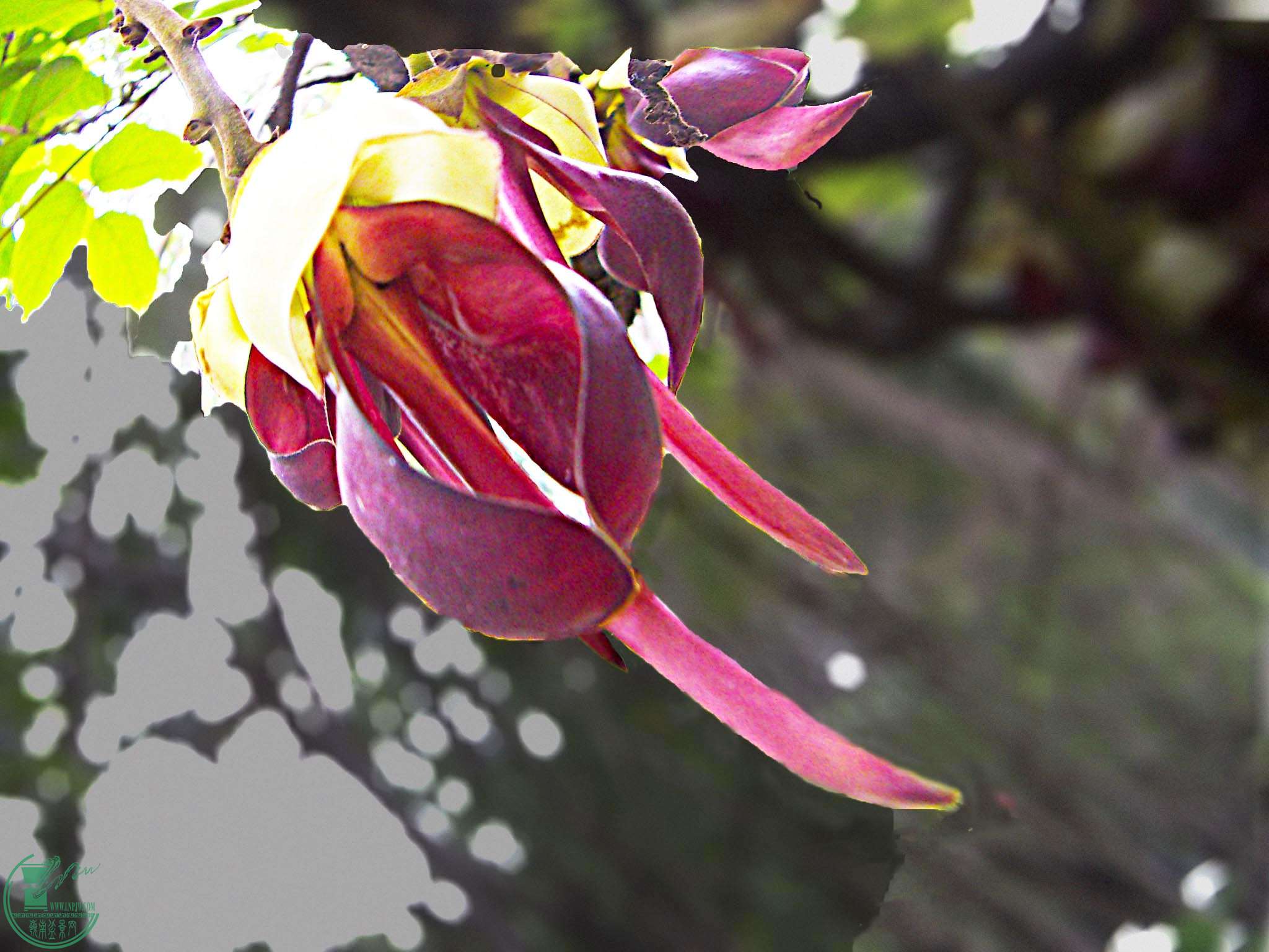 PICT2457.JPG