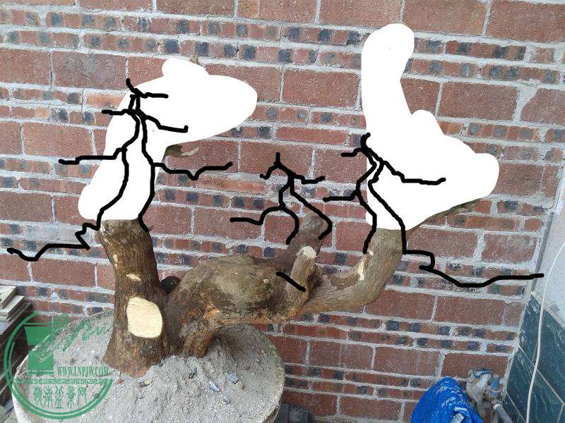 095724n6p6zhrue9hw0wue_jpg_thumb_.jpg
