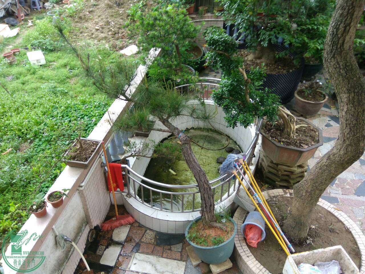 mmexport1460883698459.jpg