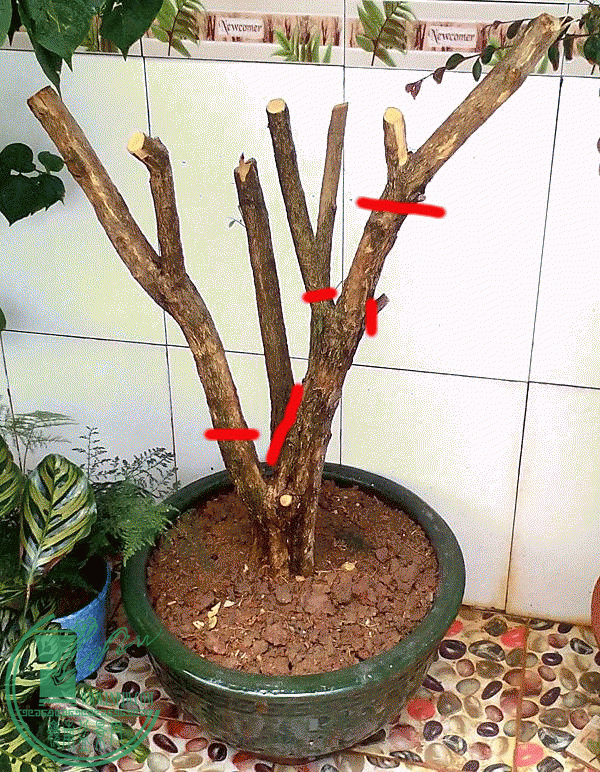 ug041f1d.gif