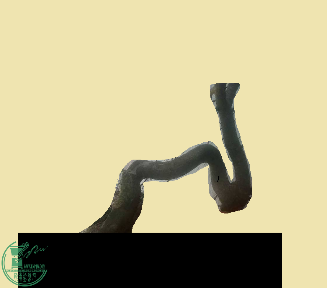 3.png