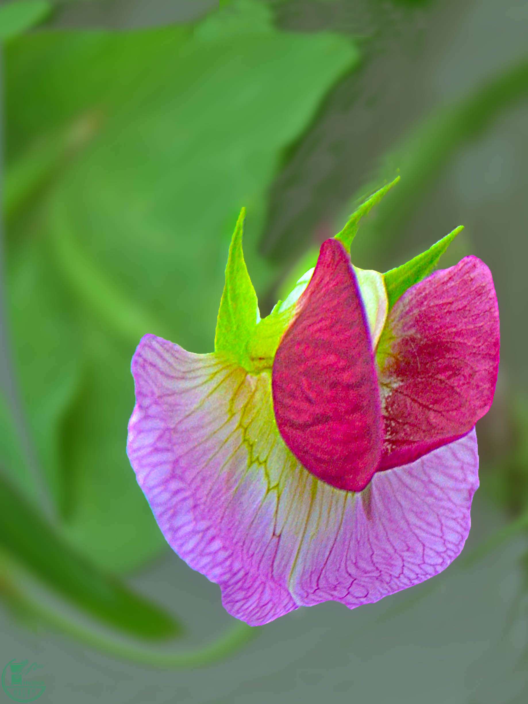 DSC_0103.JPG