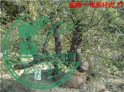 DSC04137_.jpg