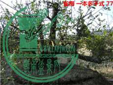DSC04138_.jpg