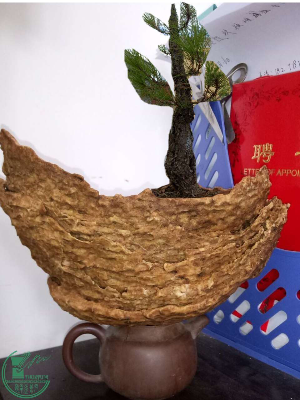 QQͼƬ20160623163156_conew3.jpg