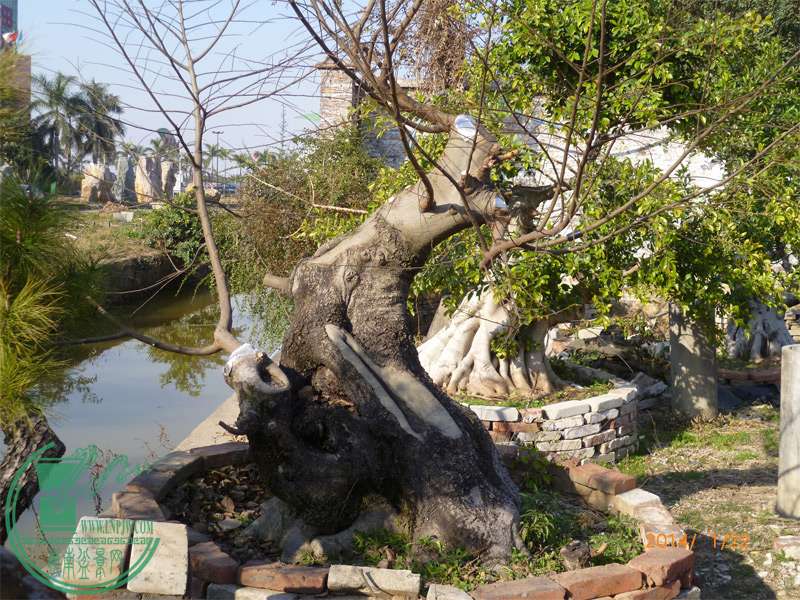2014.1.22.jpg