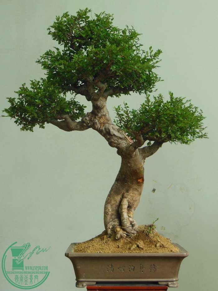 DSCN2760.JPG