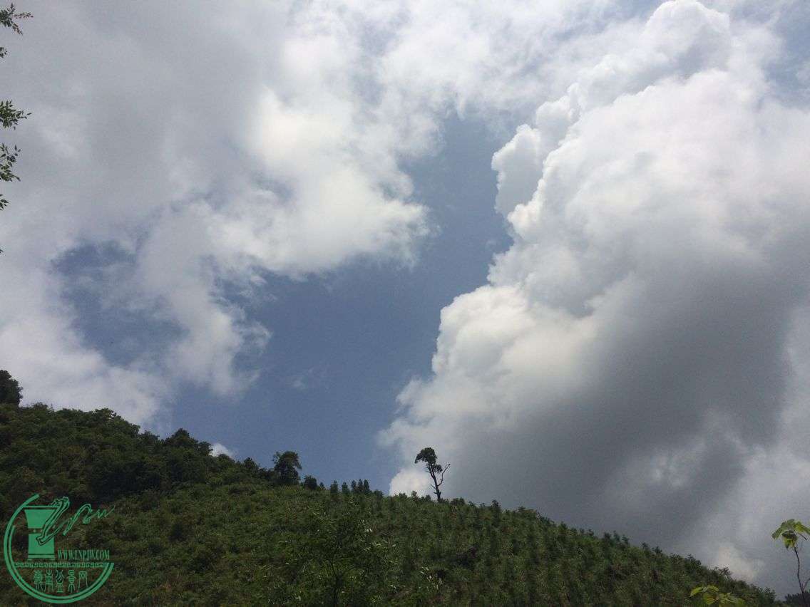 QQͼƬ20160705183329.jpg