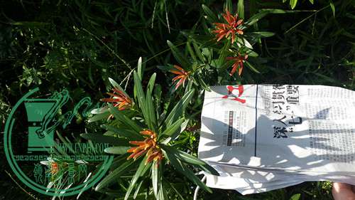 20160717_083848.jpg