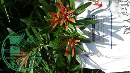 20160717_083901.jpg
