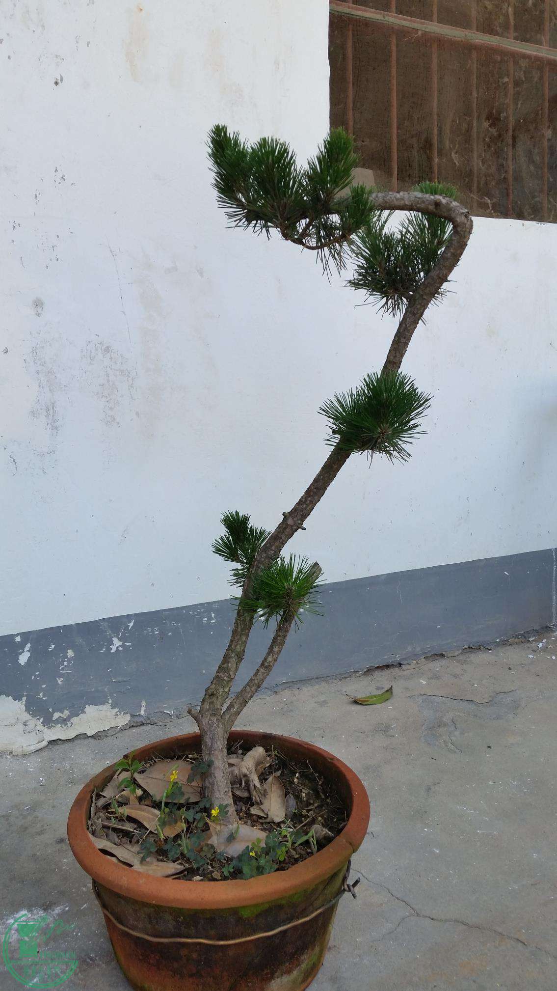 20160628_102844.jpg