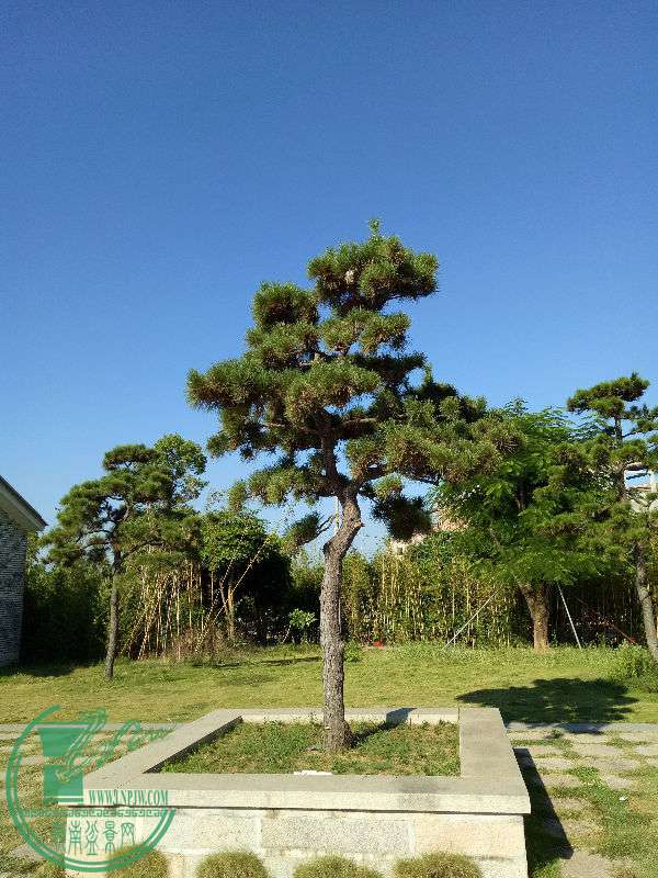 IMG20160724165118.jpg