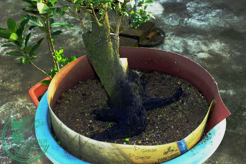 DSCF2947.JPG