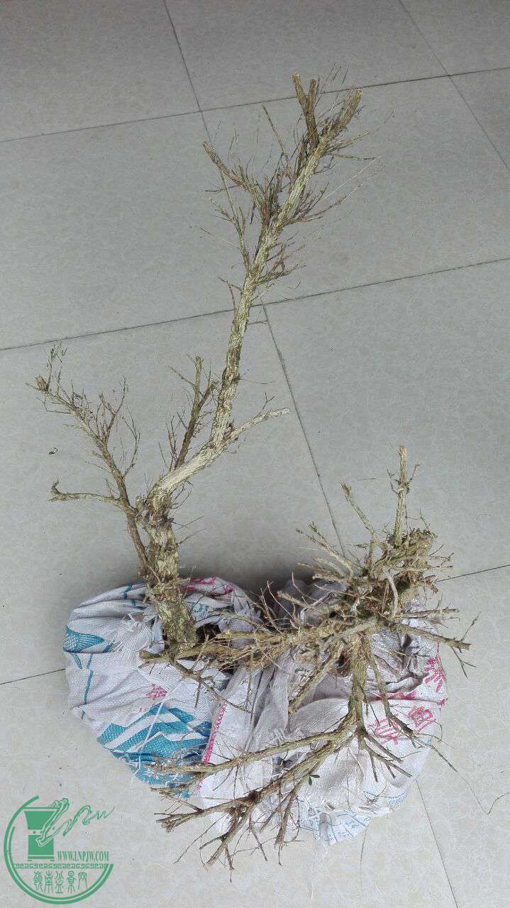 QQͼƬ20160814083153.jpg