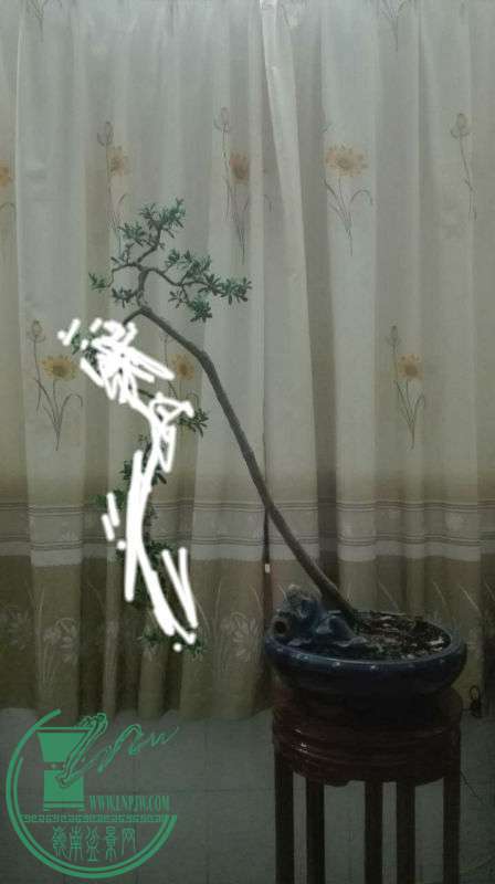 img1472042236849.jpg