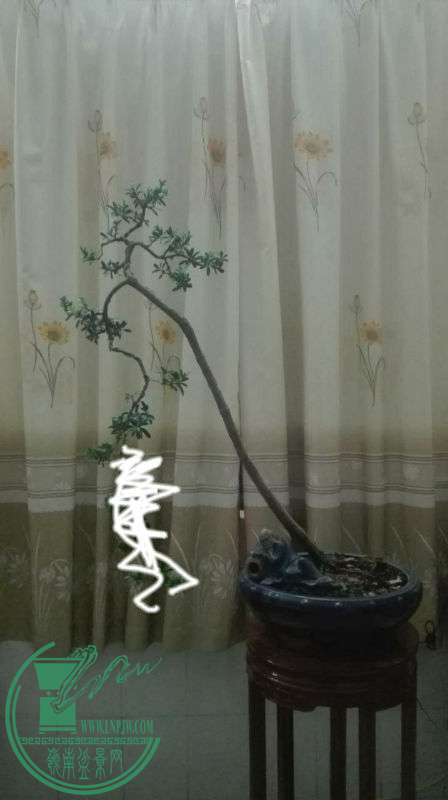 img1472047557283.jpg