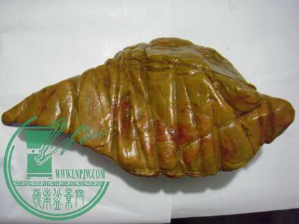 DSCF0118(2).jpg